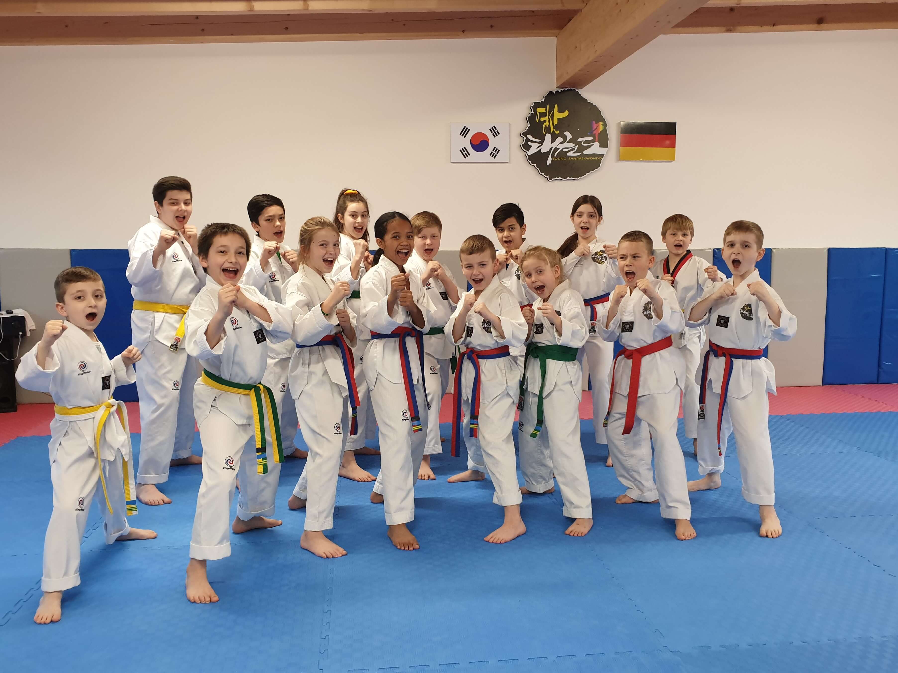 Youngsan Taekwondo Kindertraining