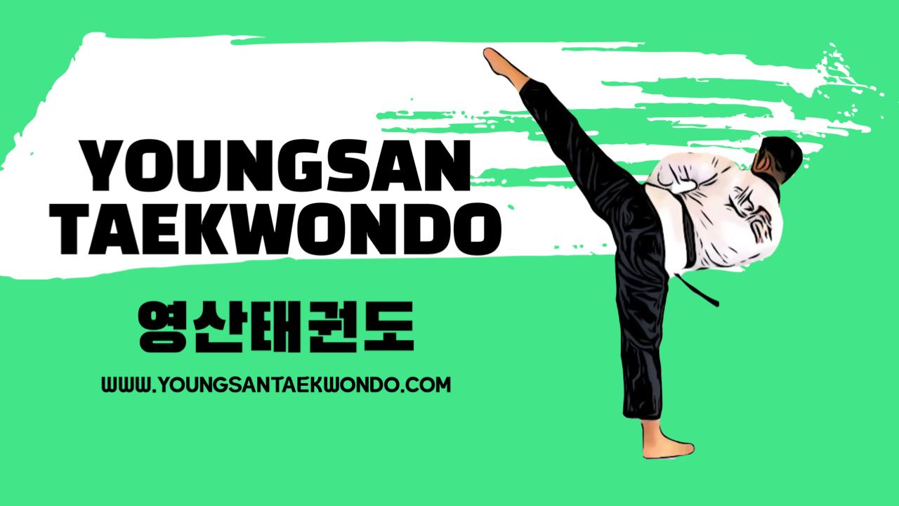 Youngsan Taekwondo Logo